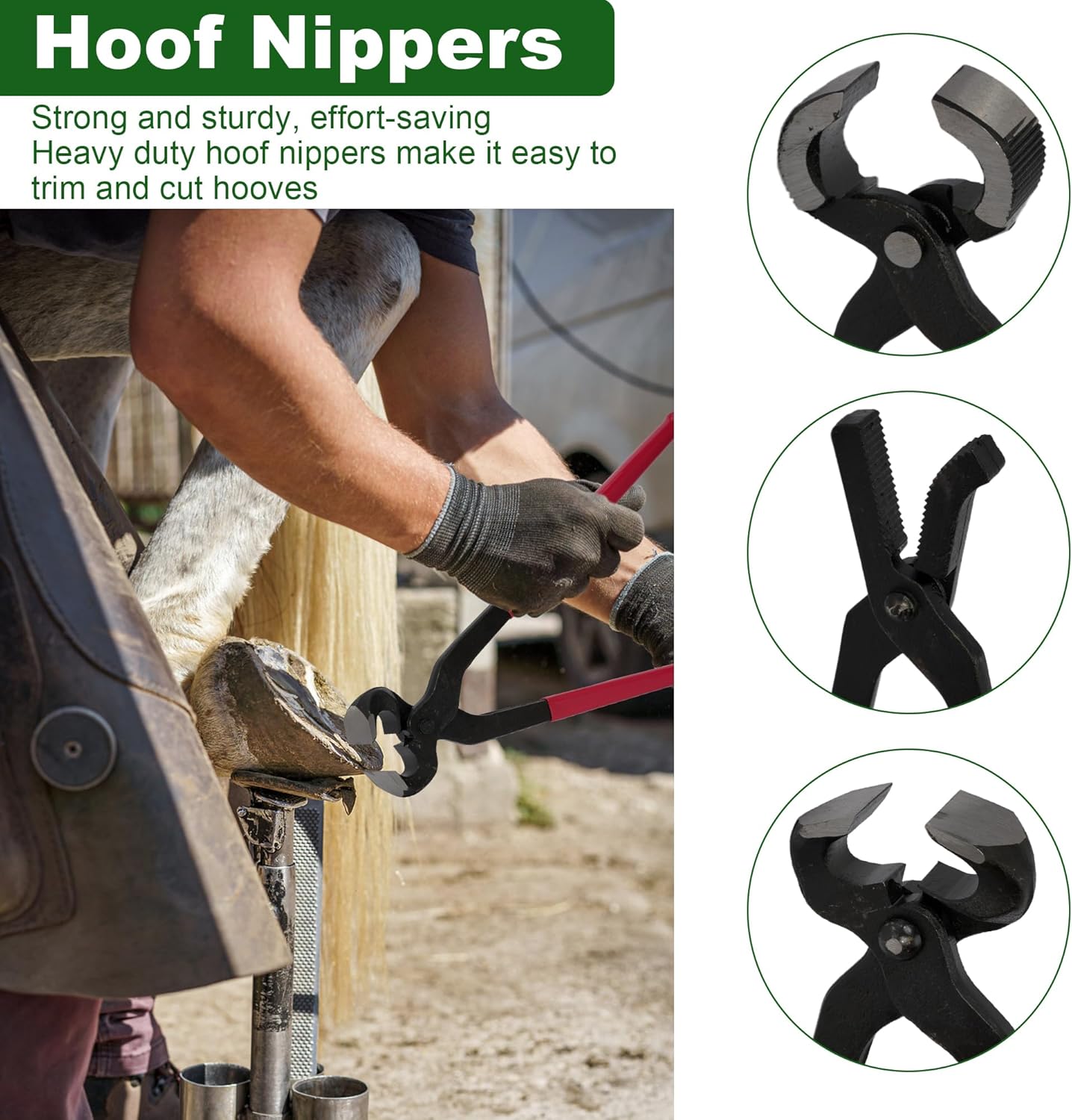 12Pcs Farrier Tools Kit Hoof Trimming Tools with Tool Bag, Hoof Nippers, Horseshoe Cutting Pliers, Goat Hoof Trimmers Shear, Hoof Rasp File, Horseshoe Brush, Hoof Knife, Hoof Hammer, Gloves