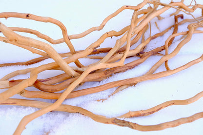 Azil Natural Aquarium Driftwood Root – Driftwood for Aquarium Decor, 170g (14″–16″), Fish Tanks, Terrariums, Aquascaping & Planted Tanks