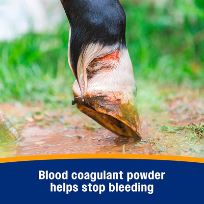 Farnam Wonder Dust Wound Powder, Blood Coagulant for Horses and Show Stock, For Use on Proud Flesh, Granulated Tissue, 4 Ounces