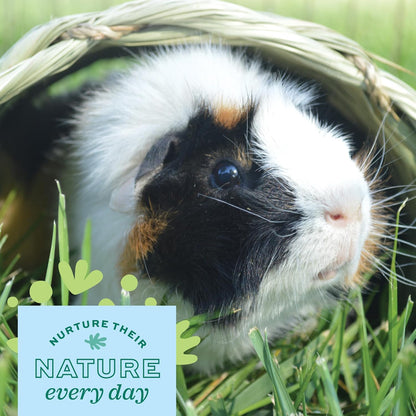 Oxbow Timothy Hay Tunnel, Guinea Pig Hideout, Rabbit & Bunny Tunnel, Edible & Hand-Woven Guinea Pig House, No Wires or String, Small Pet Accessories, for Rabbits, Chinchillas & Rats