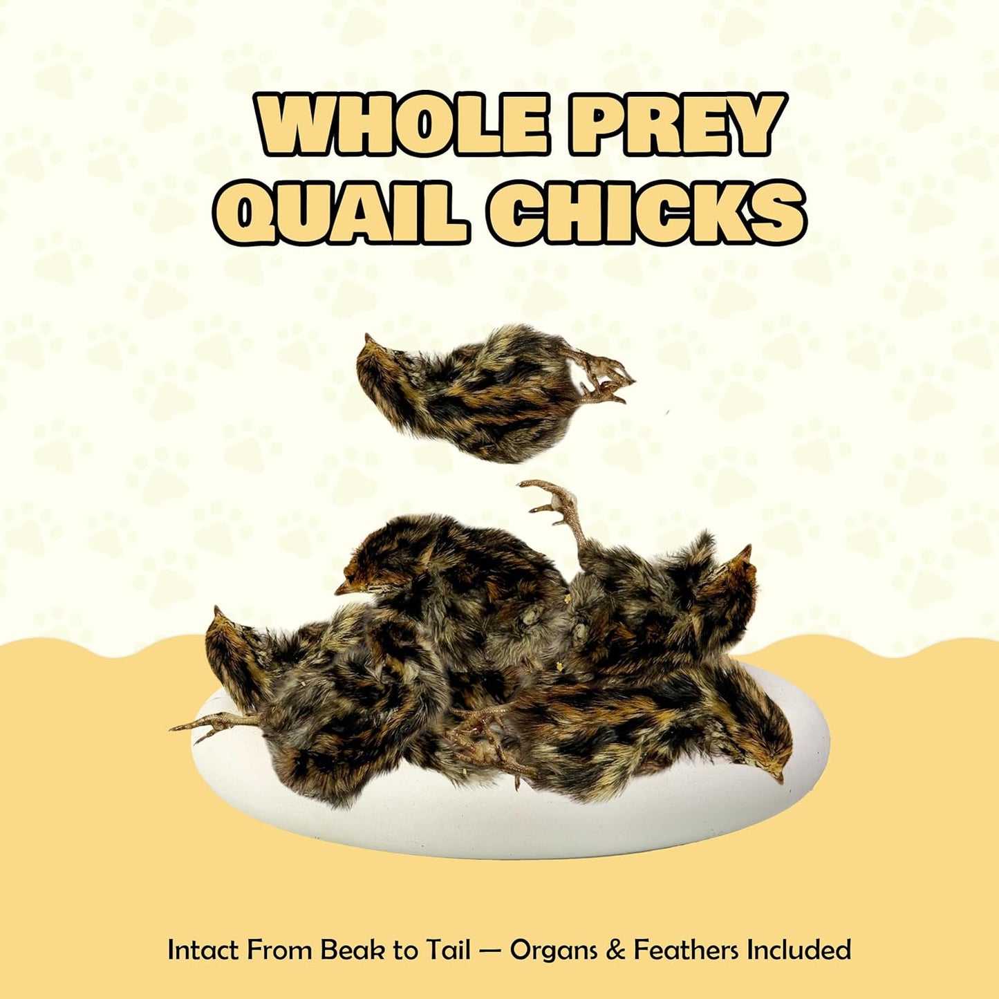 Benji & Louie Freeze Dried Quail Chicks – Whole Prey Treats with Bone, Feather, Feet, Peak – Single Ingredient Snack for Dogs & Cats – (0.88 oz) - 12 Chicks