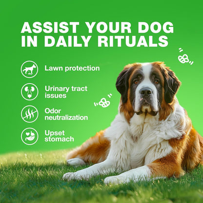 Grass Spot Chews for Dogs - Dog Probiotic, Multivitamins, Enzymes - Vitality & UTI & Digective Support - Urine Neutralizer for Lawn