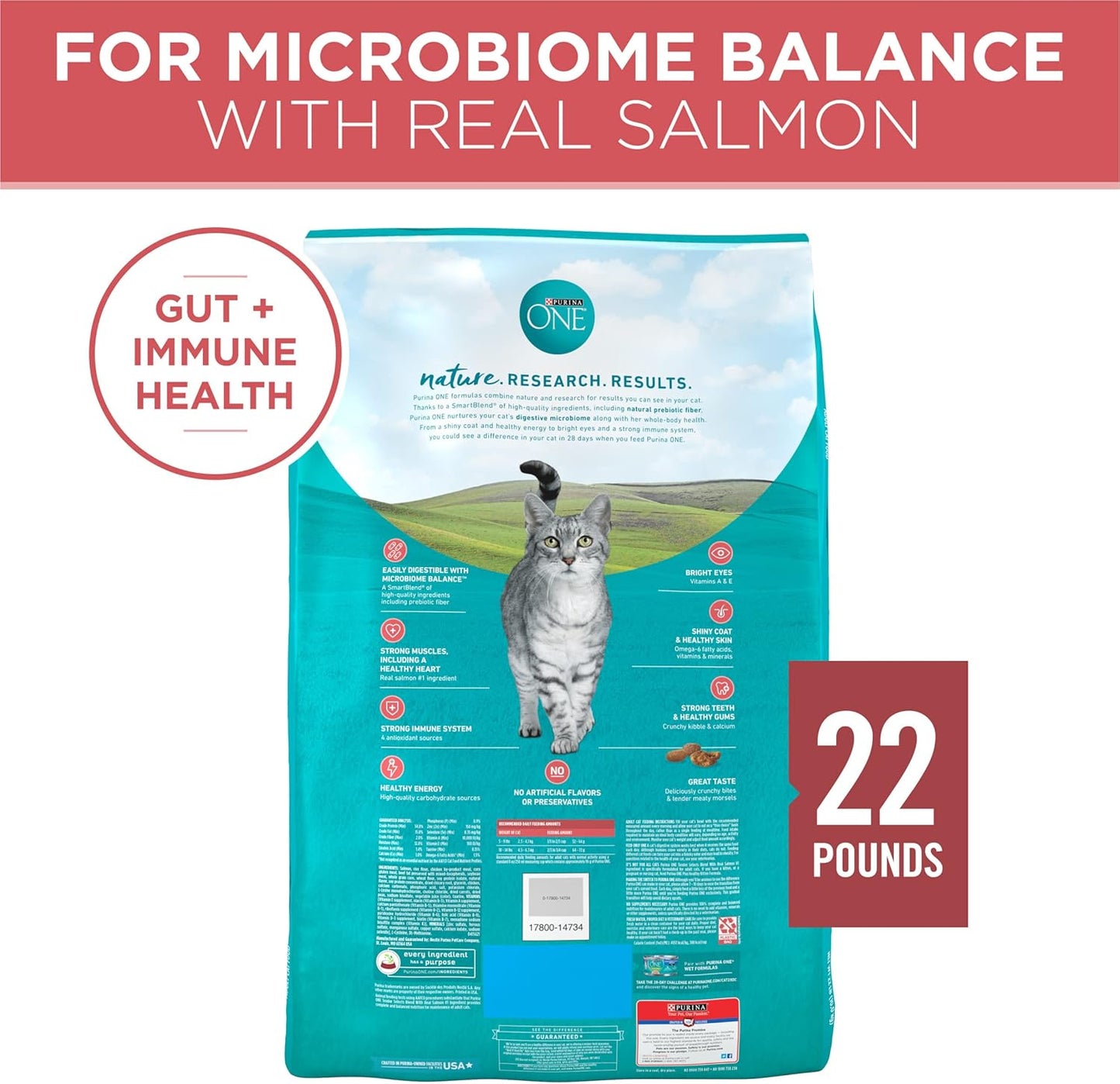 Purina ONE Natural Dry Cat Food, Tender Selects Blend with Real Salmon - 22 lb. Bag