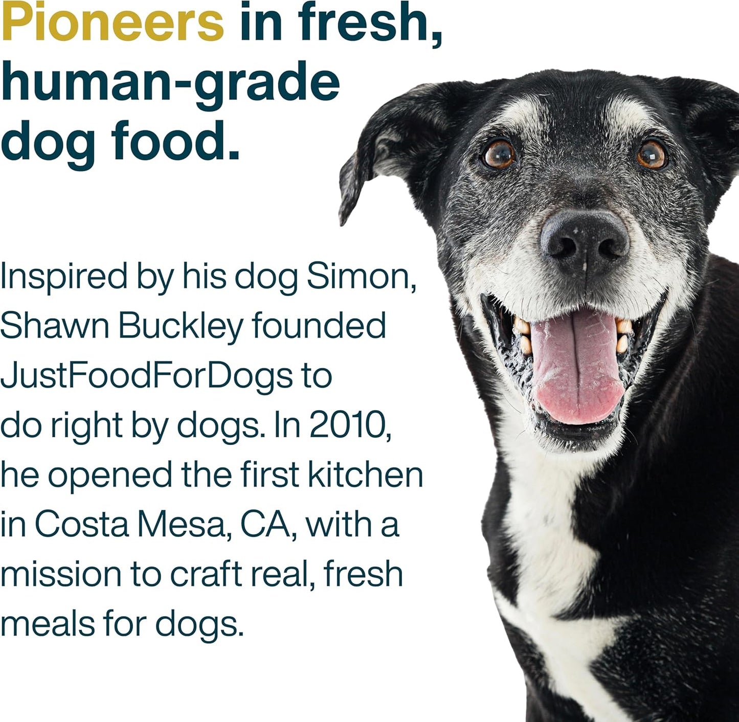 JustFoodForDogs Frozen Fresh Dog Food for Sensitive Skin Allergies, Joint Health, Complete Meal or Human Grade Dog Food Topper, Joint & Skin Support, 18 oz (Pack of 7)