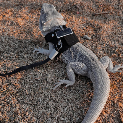 3 Pack Bearded Dragon Harness and Leash Set - Adjustable Soft Leather Lizard Harness with Retractable Leash Small Animal Traction Rope Walking Vest Accessories for Reptile Squirrel Rat (Black)