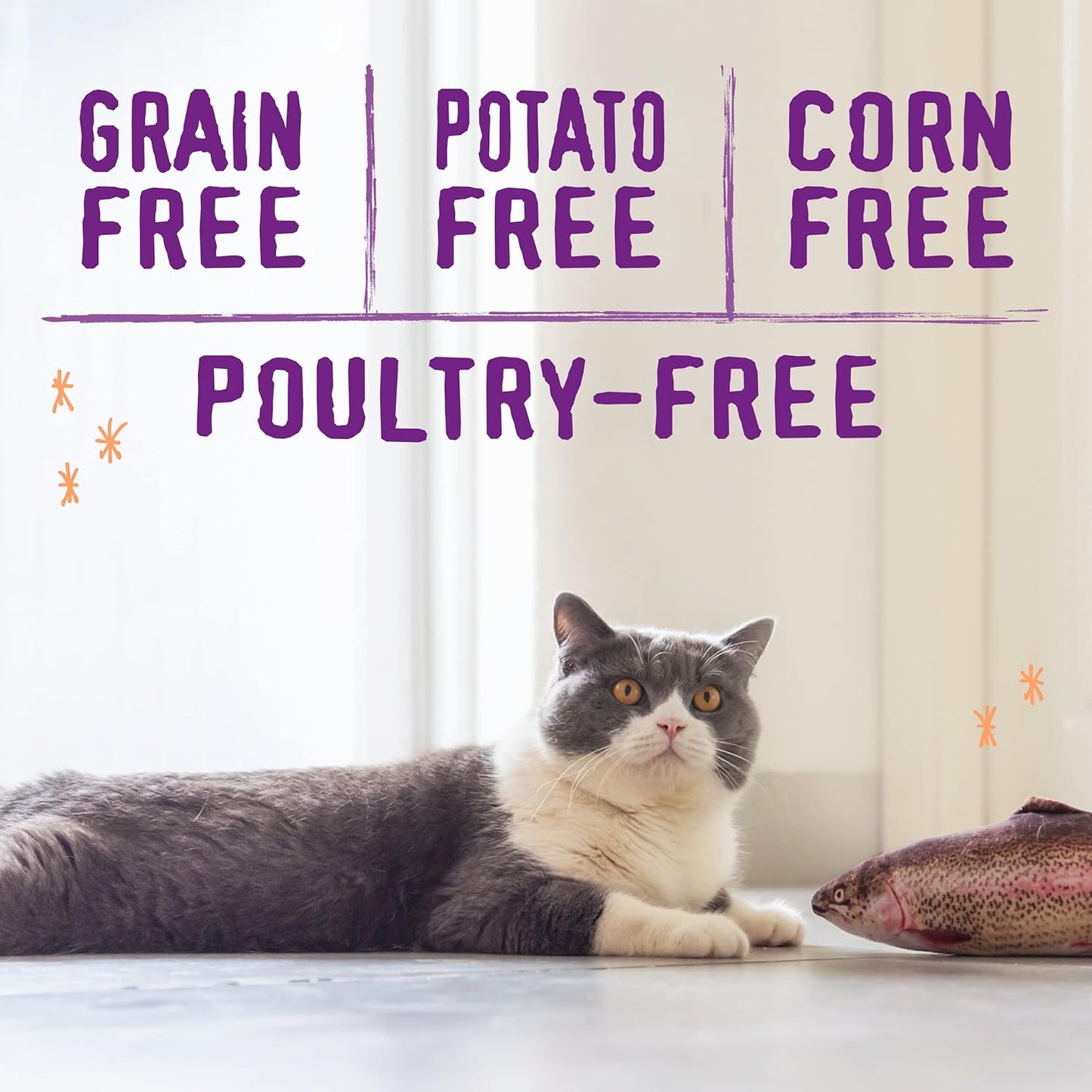 Stella & Chewy's Raw Blend Premium Kibble Cat Food – Grain Free, Protein Rich Meals – Wild-Caught Fish Recipe – 2.5 lb. Bag