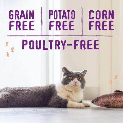 Stella & Chewy's Raw Blend Premium Kibble Cat Food – Grain Free, Protein Rich Meals – Wild-Caught Fish Recipe – 2.5 lb. Bag