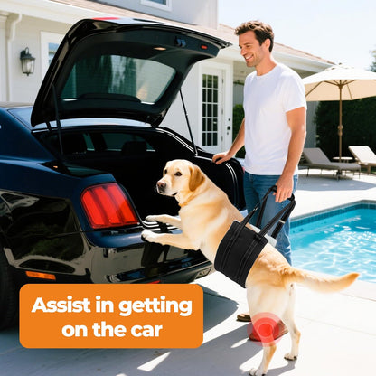 Dog Lift Harness, Adjustable Comfortable Dog Sling with Handle for Large Dog Knee Brace for Torn ACL Hind Leg, Weak Rear Legs, Helps Senior, Injured, Disabled,S