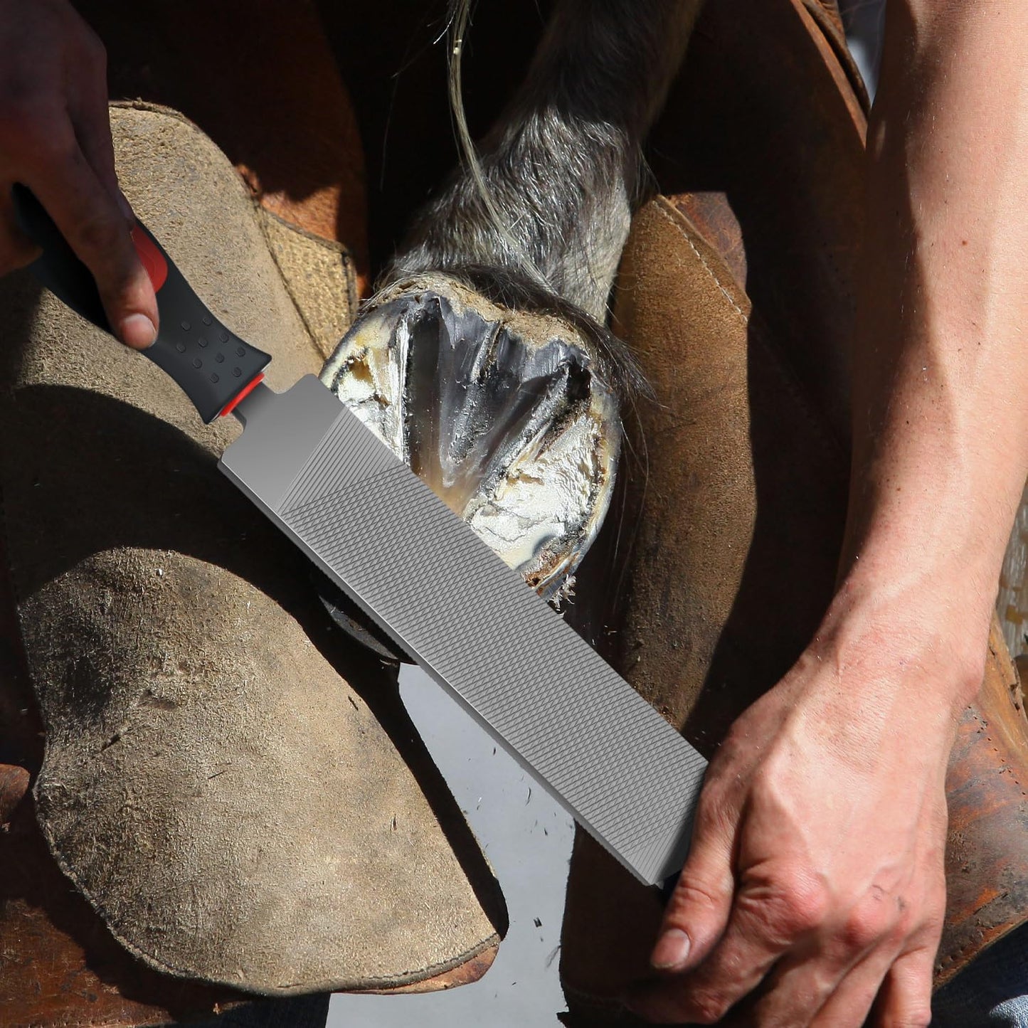 Gisafai 2 Pcs 18 and 12 Inch Rasps for Shoeing Horses with Handle Trimming File Carbon Steel Farrier Tools for Repair Horse Hooves Goat Hooves Cow Donkey Pig Animal Repairing Wood Working Supplies