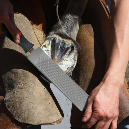 Gisafai 2 Pcs 18 and 12 Inch Rasps for Shoeing Horses with Handle Trimming File Carbon Steel Farrier Tools for Repair Horse Hooves Goat Hooves Cow Donkey Pig Animal Repairing Wood Working Supplies