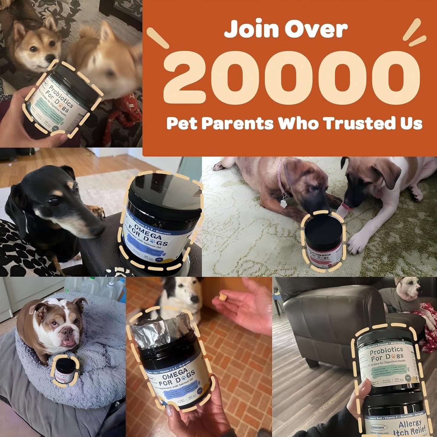 ZEBORA Probiotics for Dogs - Dog Probiotics, Pumpkin for Digestive & Gut Health, Digestive Enzymes & Prebiotic for Occasional Diarrhea, Support Immune, Skin & Allergies, 120 Soft Chews, Pumpkin Flavor