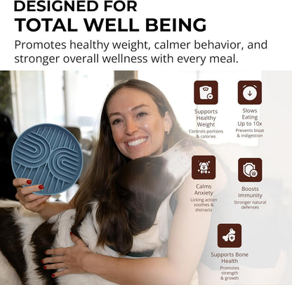 Slow Feeder Dog Bowls, Dishwasher Safe, Non-Slip Base, BPA-Free Slow Eating Dog Bowl (Stone Gray, 2-Pack)