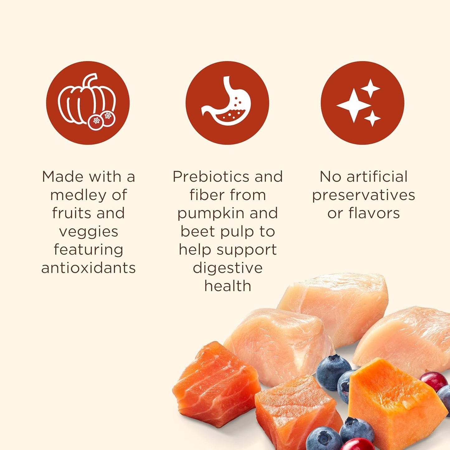 Nutrish Everyday Immune Support Dry Dog Food Chicken, Salmon, Blueberry & Pumpkin Recipe, 5.5 lb. Bag, 4 Count (Rachael Ray)