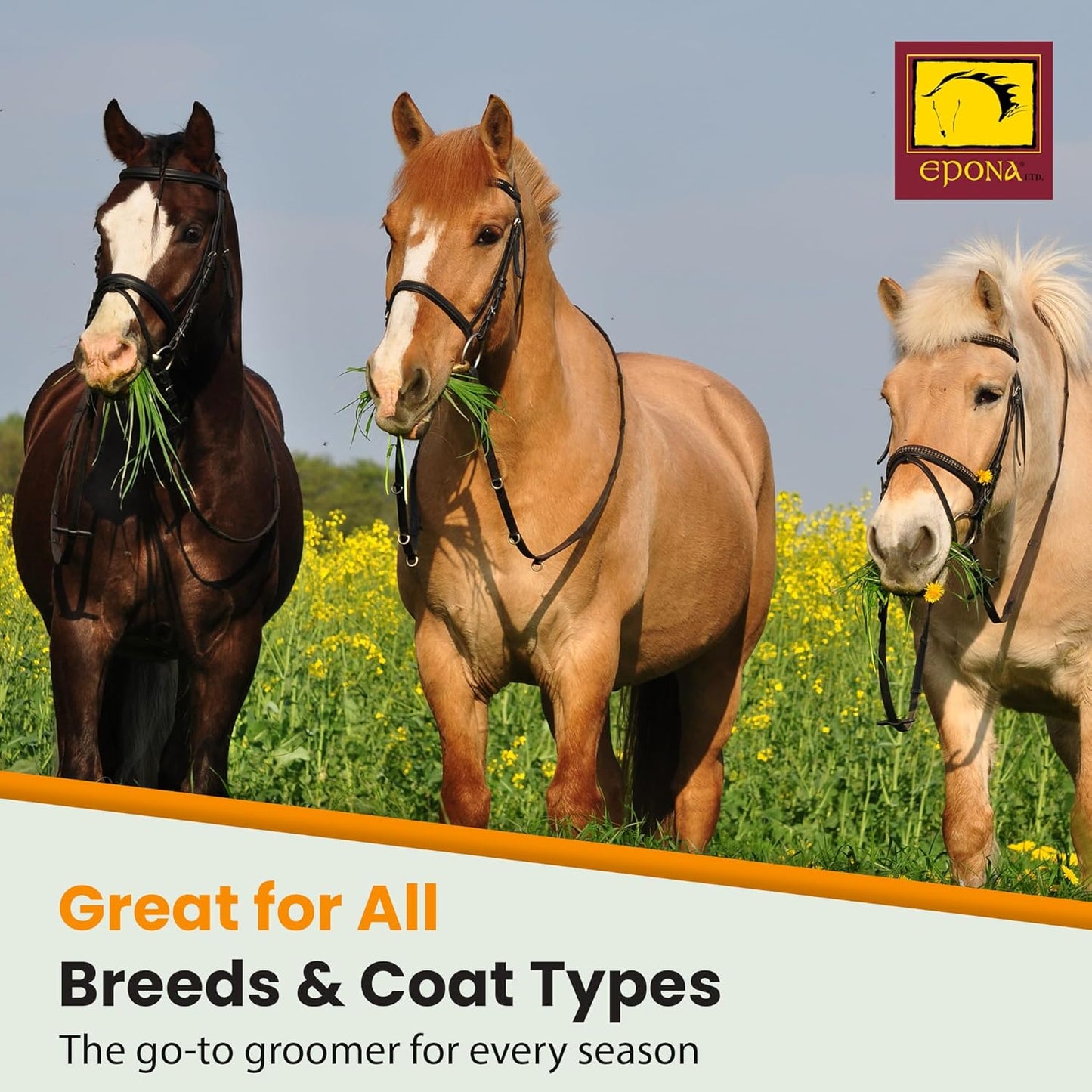 Epona Tiger’s Tongue Horse Groomer – Deep Cleaning Scrubber & Massager for Horses – Removes Dirt, Dried Sweat Marks & Dander – Gentle Grooming Tool for Body, Legs & White Markings