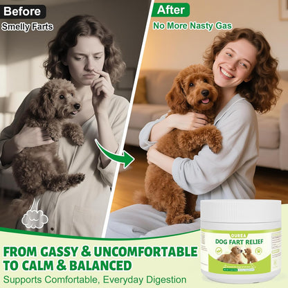 Dog Fart Remedy, Relief Smelly Farts with 4B CFU Pediococcus Acidilactici Probiotics, Digestive Enzymes, Dog Gas Relief to Help Gas & Bloating, Dogs Farts Relief, Dogs Gut Health Digestive Support