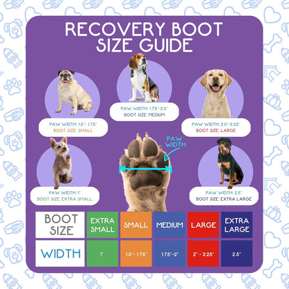 Recovery Boot and paw Protector (Medium)