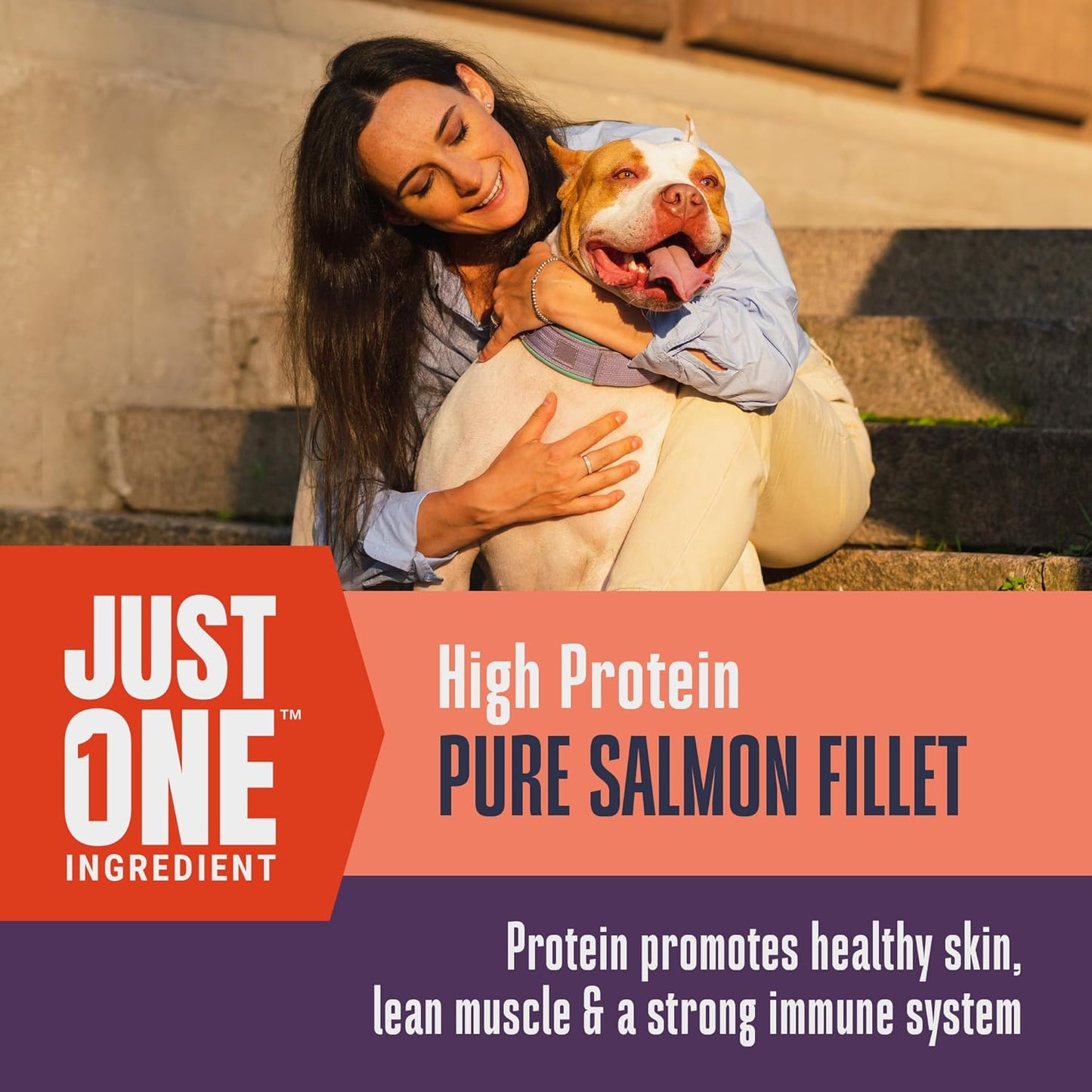 Whole Life Dog Just One Salmon Freeze Dried Dog Treats - Human Grade High Protein Food, Healthy Training Snacks, Freeze Dried Salmon Food Toppers, USA Made Natural Treats - 7.5 oz (Value Pack of 1)