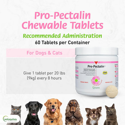 Vetoquinol Pro-Pectalin Chewable Tablets for Dogs & Cats, Helps Relieve Occasional Diarrhea, Situational Diarrhea Relief with Kaolin and Pectin, Contains Beneficial Probiotic Bacteria, 60ct