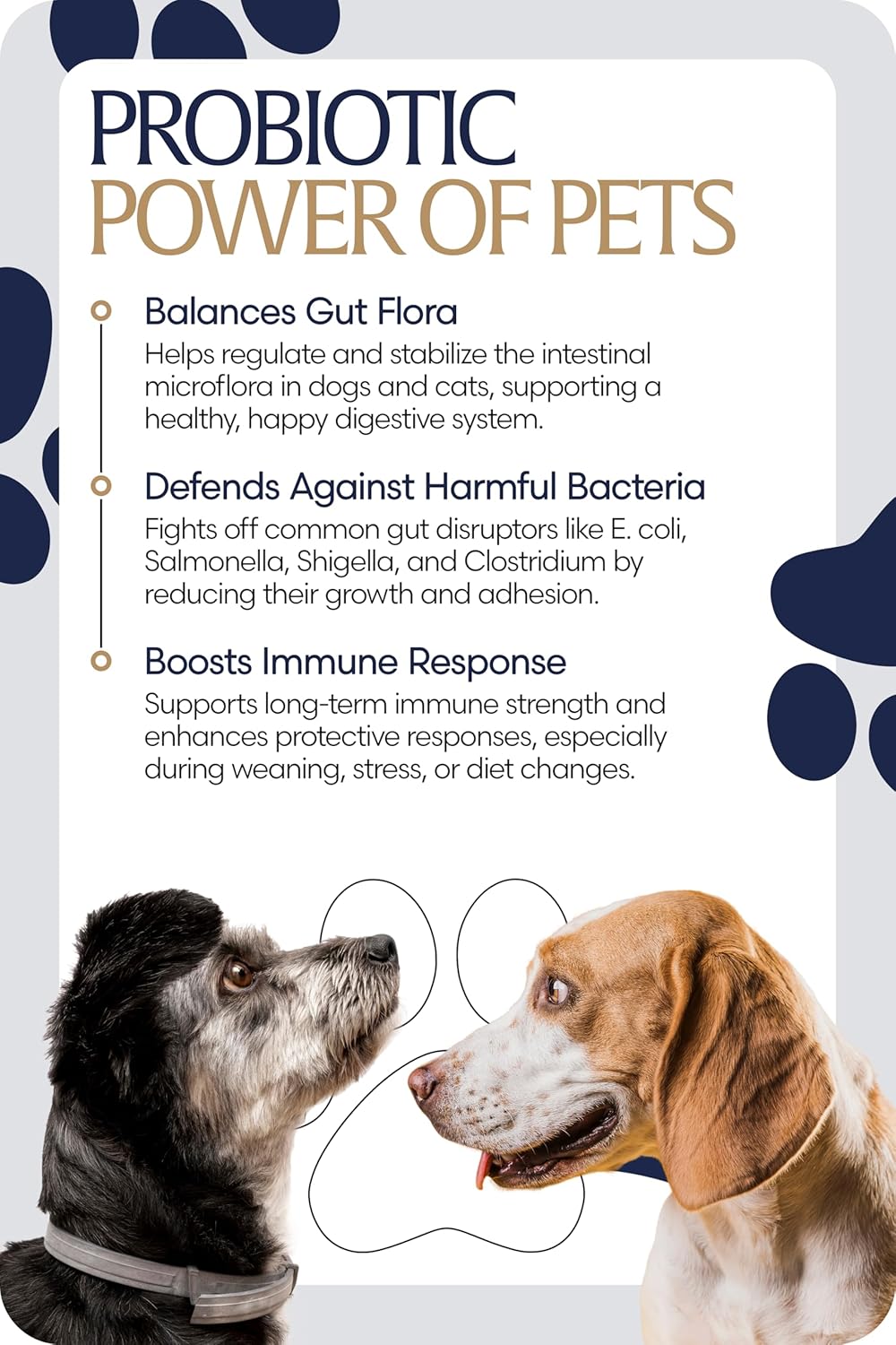 Equinavia GutEase Digestive Support Paste for Dogs & Cats – with Probiotics, Prebiotics, Glutamine, and Pectin – Easy Oral Supplement in 15ml or 30ml Syringe - 1 oz (30 ml) - 1 oz