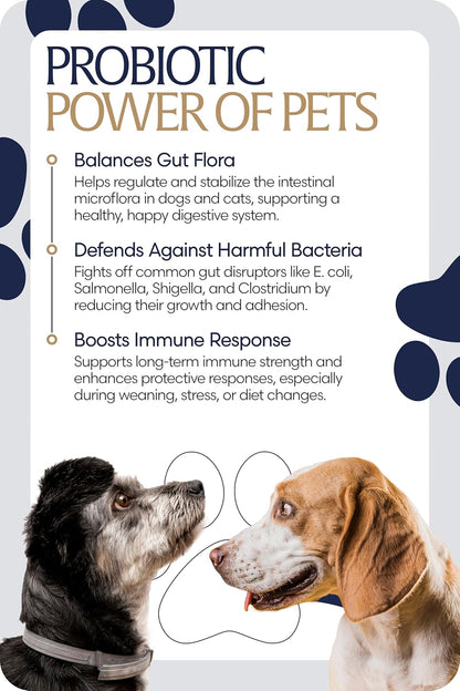 Equinavia GutEase Digestive Support Paste for Dogs & Cats – with Probiotics, Prebiotics, Glutamine, and Pectin – Easy Oral Supplement in 15ml or 30ml Syringe - 1 oz (30 ml) - 1 oz
