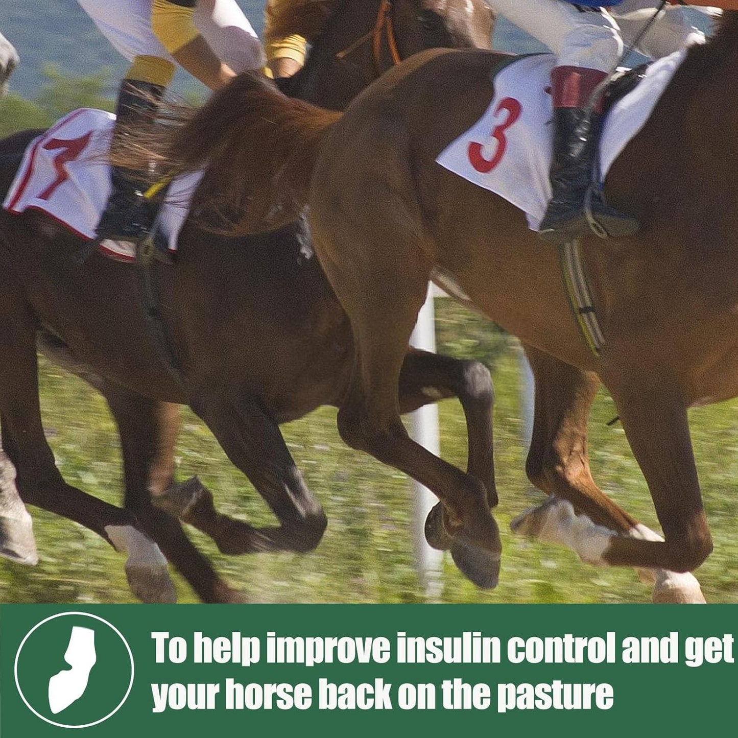 Insulin Resistance Supplement for Horses - Horse Laminitis Treatment-Natural Laminitis Herbal Powder for Sore Feet & Chronic Laminitis, 1.87lb (90-Day Supply)