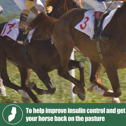 Insulin Resistance Supplement for Horses - Horse Laminitis Treatment-Natural Laminitis Herbal Powder for Sore Feet & Chronic Laminitis, 1.87lb (90-Day Supply)