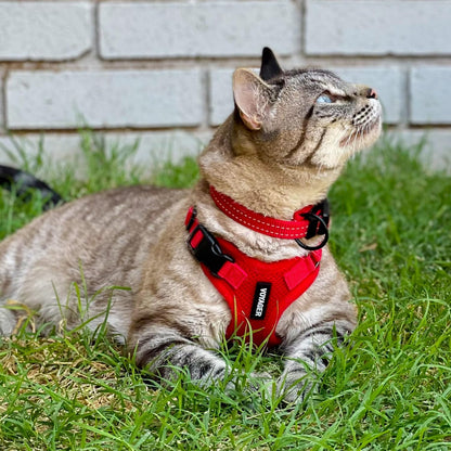 Best Pet Supplies Voyager Step-in Lock Pet Harness w Reflective Pet Leash Combo Set with Neoprene Handle 5ft - Supports Small, Medium and Large Breed Puppies/Cats - Red Set, XL