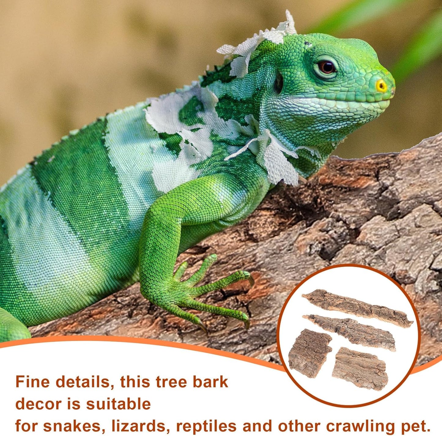 4pcs Cork Bark for Reptiles, Climbing Bark for Reptiles, Terrarium Decorations, Turtle Platform, Natural Wood