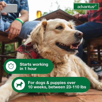 Advantus Dog Fast Acting Oral Flea Treatment Soft Chews Dogs 23 - 110 lbs. | 7 ct.