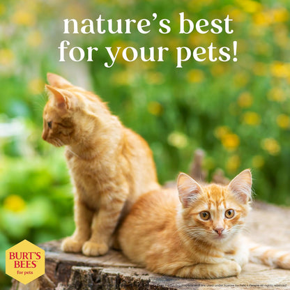 Burt's Bees for Pets Hypoallergenic Cat Shampoo with Shea Butter and Honey - A Gentle Kitten Shampoo for Indoor Cats with Dry & Itchy Skin, Sensitive Skin, Cat Bathing Supplies, 10 Fl Oz
