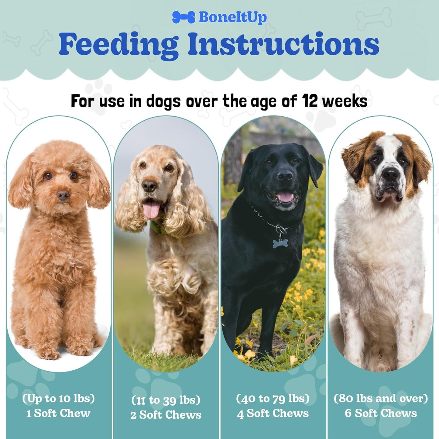 BoneItUp Dog Treat Baking Mix + Hip & Joint Support Chews – Low Calorie Nutrient-Rich Treat Mix and Glucosamine, Chondroitin, MSM & Omega Mobility Supplement for Puppies, Adults & Senior Dogs