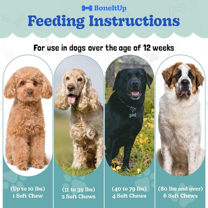 BoneItUp Dog Treat Baking Mix + Hip & Joint Support Chews – Low Calorie Nutrient-Rich Treat Mix and Glucosamine, Chondroitin, MSM & Omega Mobility Supplement for Puppies, Adults & Senior Dogs