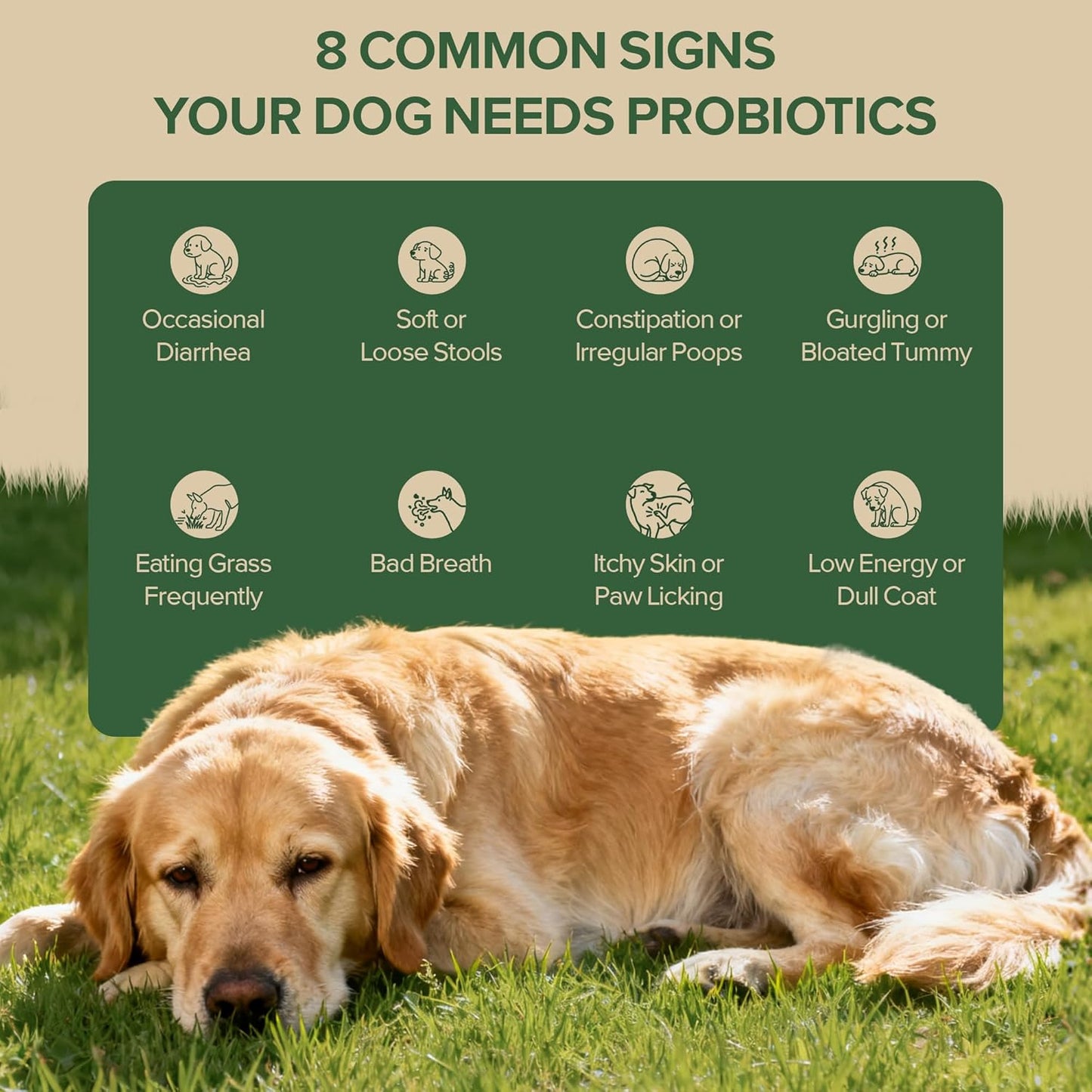 Probiotics for Dogs - Dog Probiotics for Yeast, Itchy Skin and Itchy Ears, Digestive Health, Diarrhea Relief, Gut & Immune Support - with 7 Enzymes, 3 Prebiotics & Omega-3 (Duck 30ct)