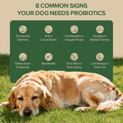 Probiotics for Dogs - Dog Probiotics for Yeast, Itchy Skin and Itchy Ears, Digestive Health, Diarrhea Relief, Gut & Immune Support - with 7 Enzymes, 3 Prebiotics & Omega-3 (Duck 30ct)