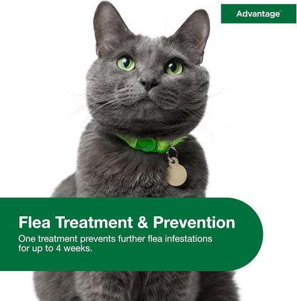 Advantage Topical Cat Flea Treatment and Prevention for Large Cats Over 9 lbs. | Apply Flea Drops Monthly | 6 Treatments (Pack of 3)