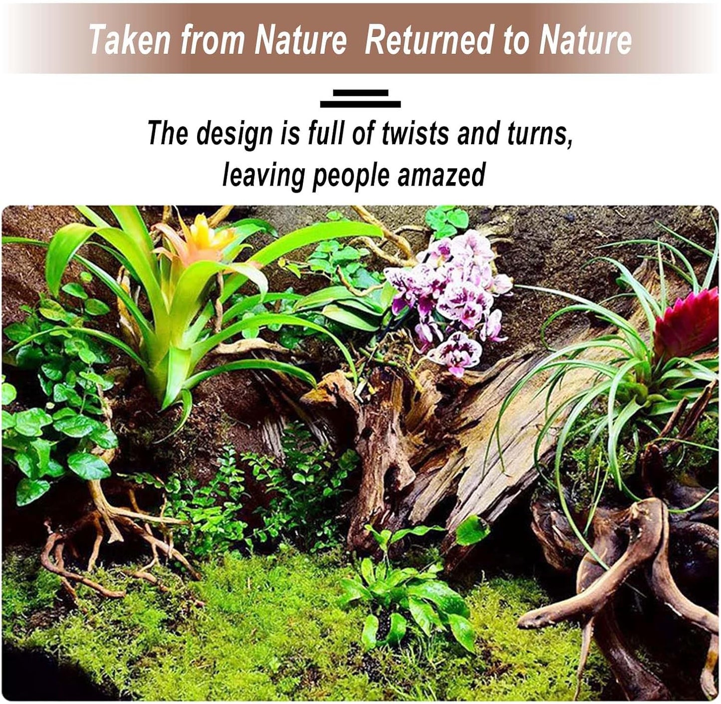 Natural Aquarium Decoration Driftwood Tree Trunk with Rockery View, Unique Dead Wood Root Hideouts for Fish & Reptiles, Landscape Enhancer (Random Shape, 10-15cm Length)