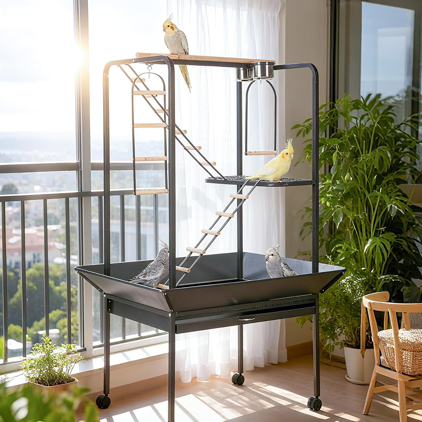 Pet Products Parrot Playstand with Wheels, Bird Cage Stand Activity Play Center with Perches and Ladders, Indoor Outdoor Playground for Birds, Durable Black Hammertone Finish
