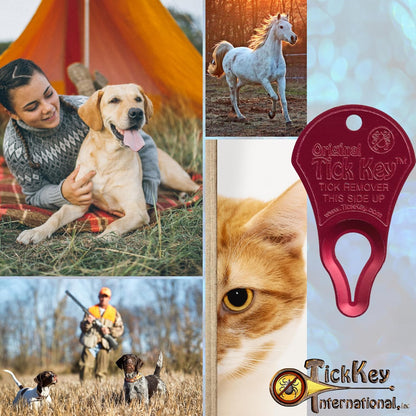 The Original Tick Key -Tick Detaching Device - Portable, Safe and Highly Effective Tick Detaching Tool (Rainbow 7 Pack)