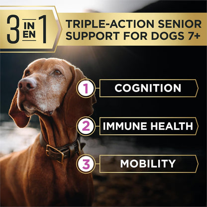 Purina Pro Plan AdvantEDGE Senior Support Plus Shredded Blend Chicken and Rice Formula Dry Dog Food - 22 lb Bag