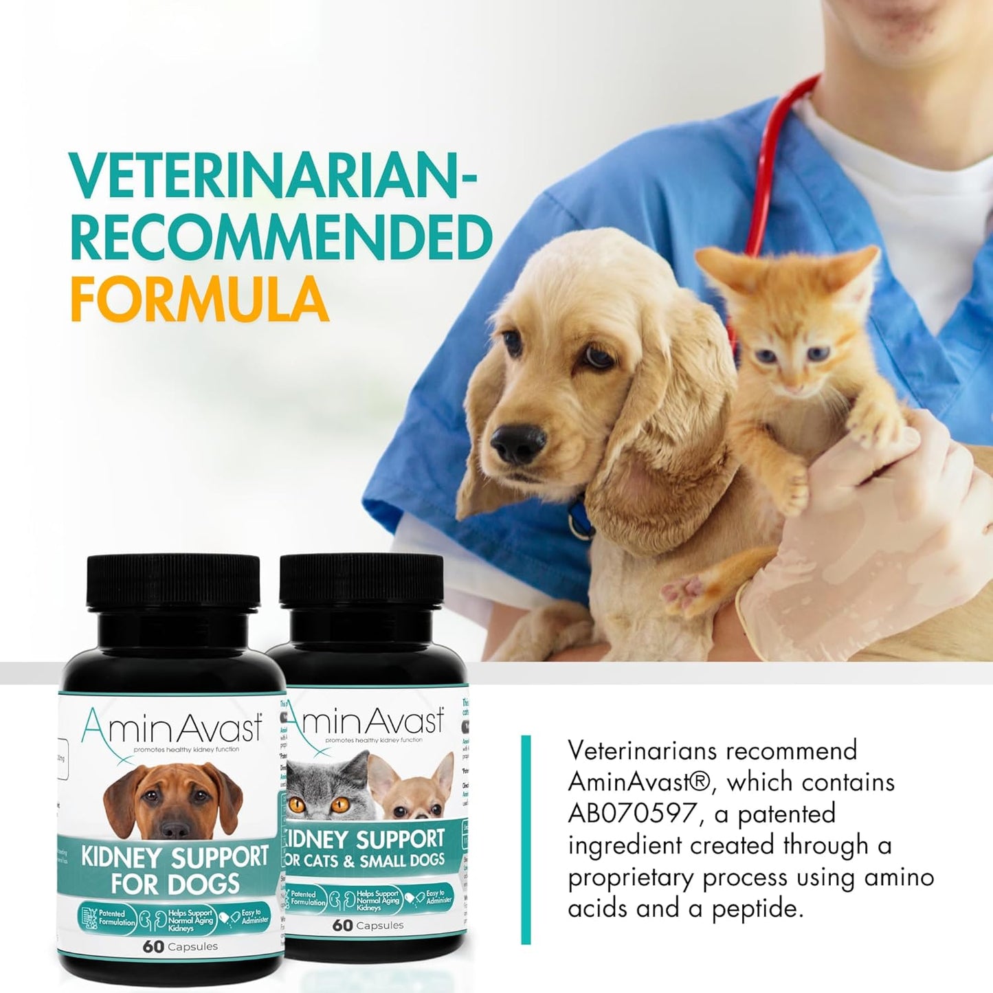AminAvast Dog Kidney Supplement - Supports Natural Kidney Function - Promotes Health & Vitality of Aging Kidneys - Pet-Friendly, 1000mg, 60 Capsules.