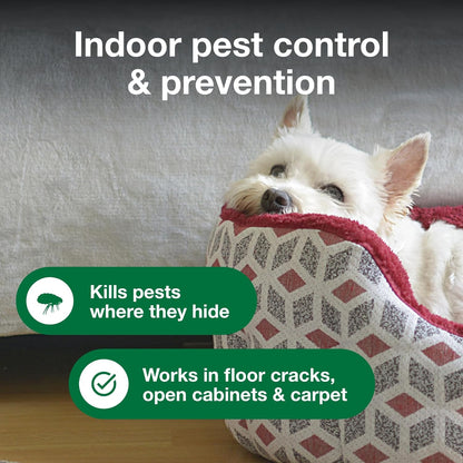 Advantage Household Fogger | Kills Fleas & Ticks | Flea Fogger for Home | 2 oz. Canisters (Pack of 3)