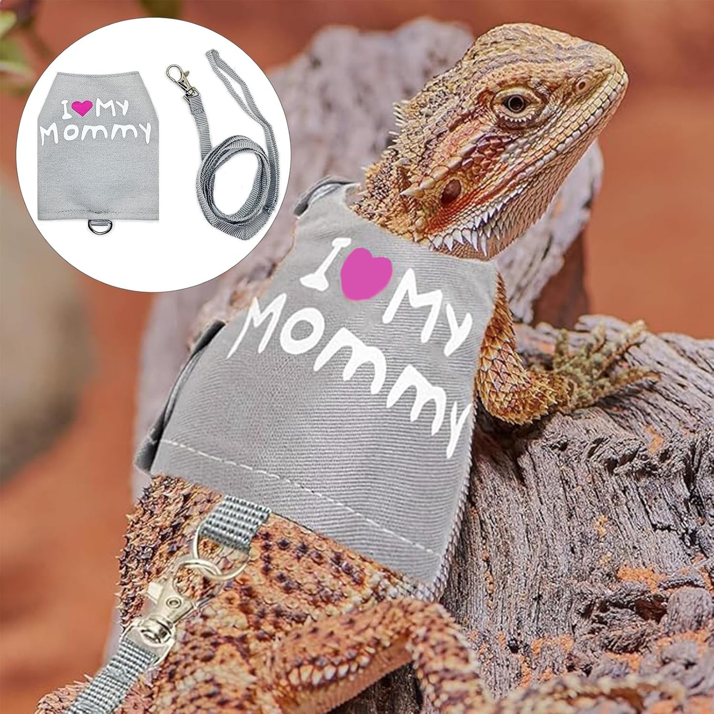 Adjustable Bearded Dragon Harness & Leash Set with Costume Clothes – Handmade Reptile Walking Outfit for Lizards, Chameleons, Small Pets & Guinea Pigs, Halloween Photo Prop & Dress-Up