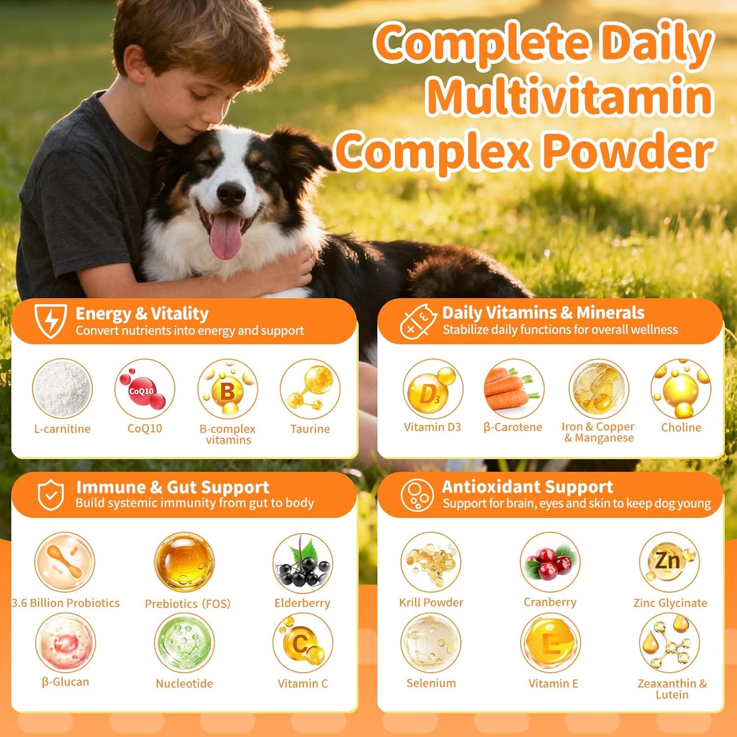 Dog Vitamins and Supplements for Daily Energy, Immune, Antioxidants, Gut, Joint, Skin, Coat, Multivitamin Powder for Dogs with L-Carnitine, Taurine, Probiotics - Chicken Flavor, 75 Scoops