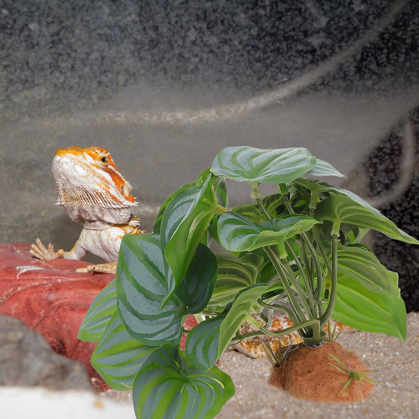 BESTonZON Reptile Terrarium Plants Artificial Decor Resin Plastic Hidden Hide Plant for Gecko Lizard Tortoise Habitat Landscape Accessories