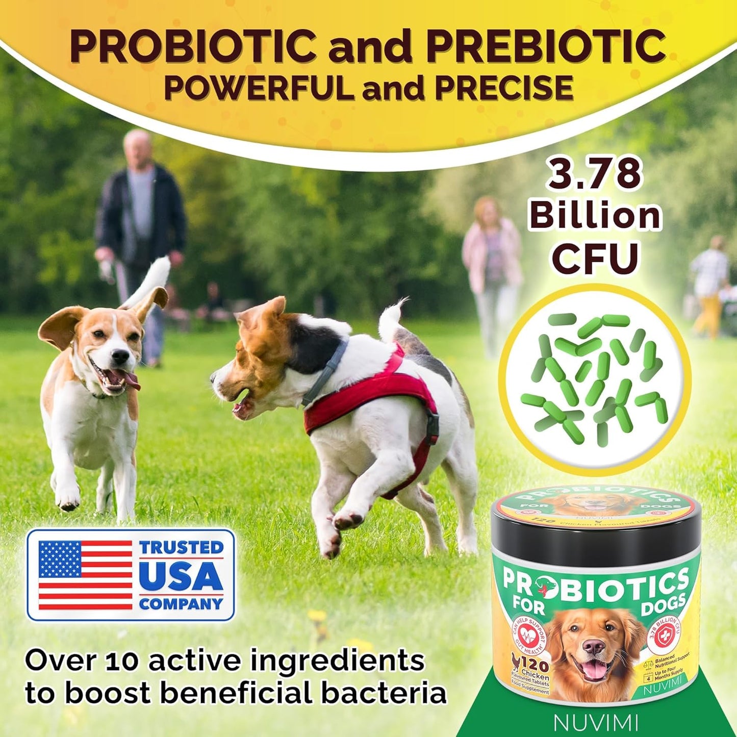 Probiotics for Dogs - Dog Probiotic & Prebiotic Tablets - Digestive Support Supplement for Gut Health, Tummy Relief, Itching, Diarrhea, Allergies, Bad Breath - 120 Chicken Flavor