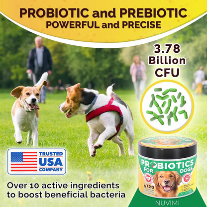 Probiotics for Dogs - Dog Probiotic & Prebiotic Tablets - Digestive Support Supplement for Gut Health, Tummy Relief, Itching, Diarrhea, Allergies, Bad Breath - 120 Chicken Flavor