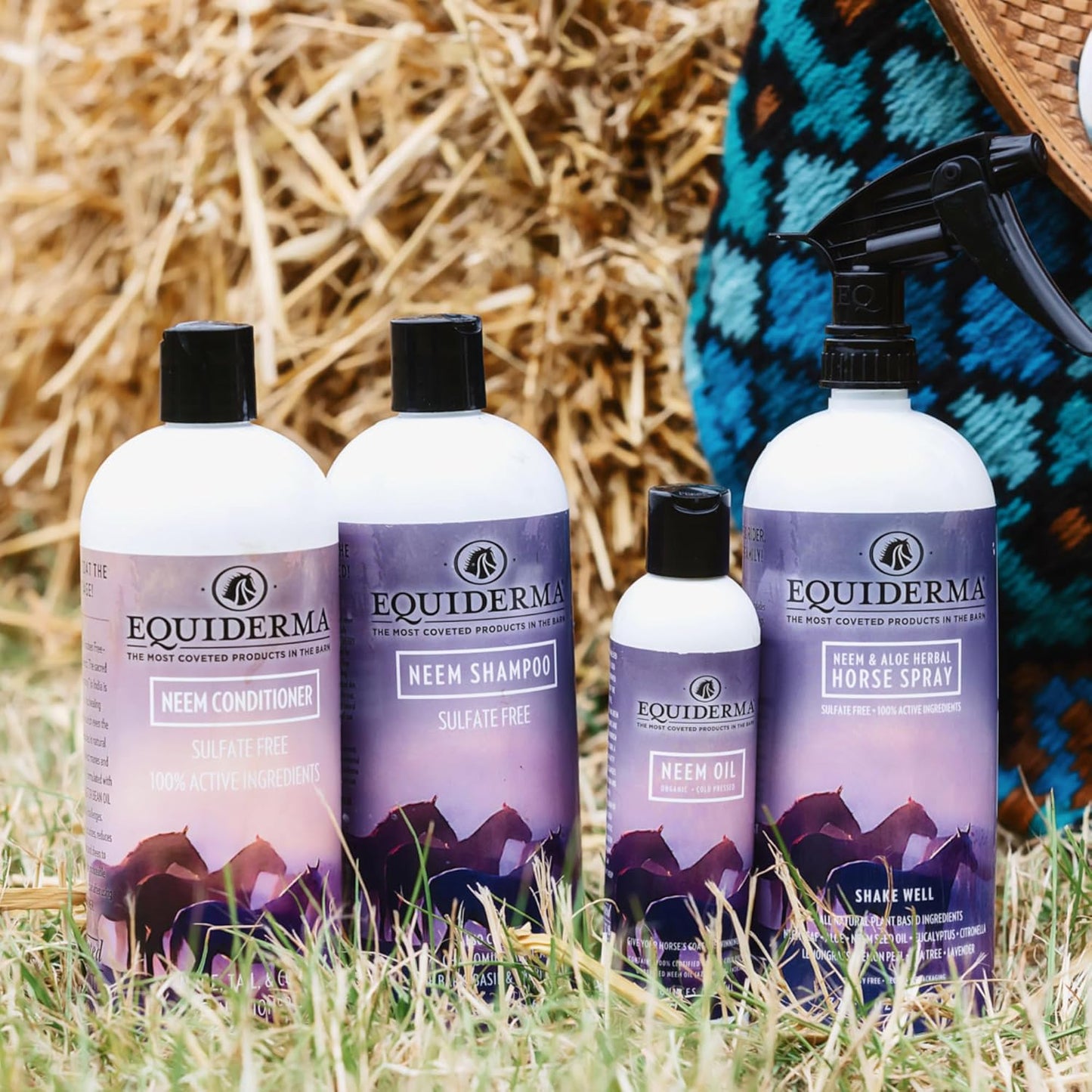 The Original – Equiderma Arnica Horse Shampoo, 32 oz | Sulfate-Free, Organic Herbal Formula for Healthy Skin, Silky Coat & Brilliant Shine | Natural Grooming Care