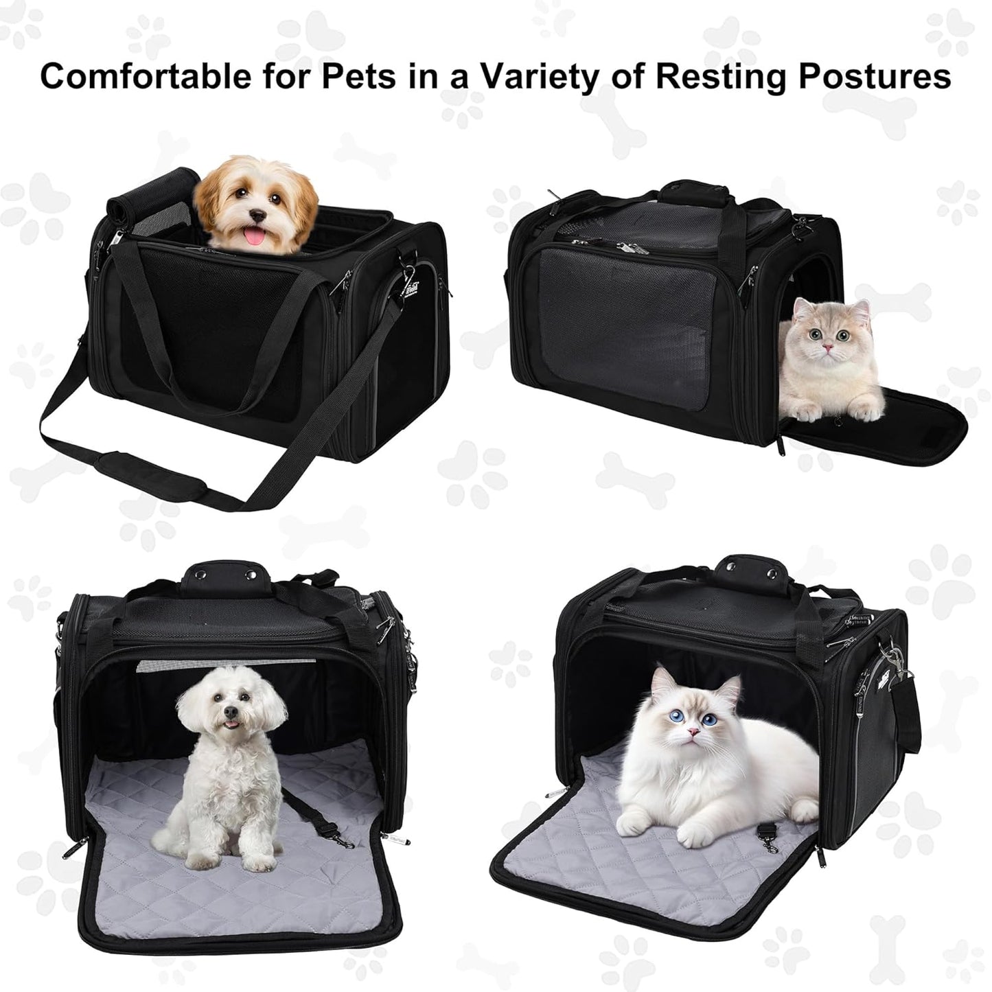 EliteField Deluxe Soft-Sided Pet Carrier (3 Year Warranty, Airline Approved), Travel Bag for Dogs, Cats & Small Pets, with Expandable Mat