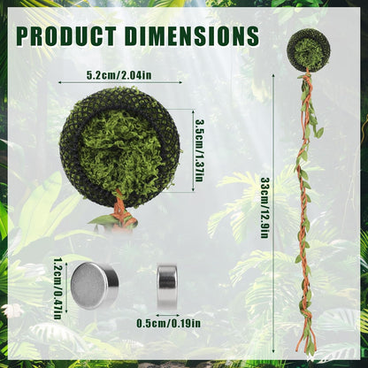 Magnetic Reptile Hide with Strong Magnets, Small Amphibian Hideout Enclosure Accessory for Jumping Spiders Tarantulas & Pet Spider Terrarium Decor