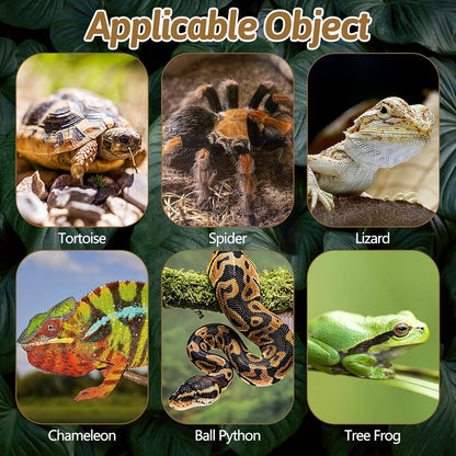 BNOSDM Reptile Pine Bark Substrate and Rectangle Basking Platform for Lizard